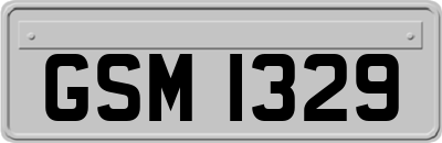 GSM1329