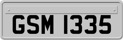 GSM1335