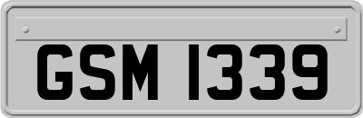 GSM1339