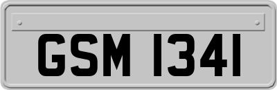 GSM1341