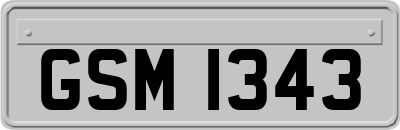 GSM1343