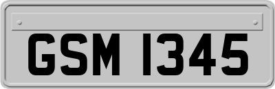 GSM1345