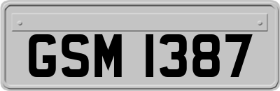 GSM1387