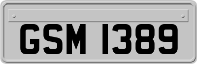 GSM1389