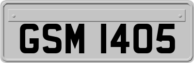 GSM1405