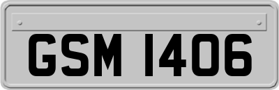 GSM1406