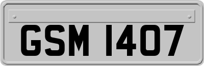 GSM1407