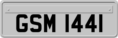 GSM1441