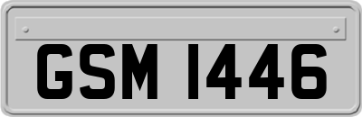 GSM1446