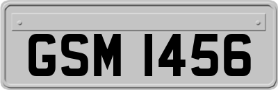 GSM1456