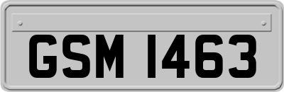 GSM1463