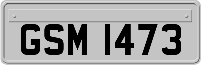 GSM1473