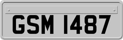 GSM1487