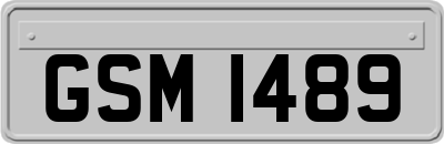GSM1489