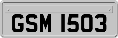 GSM1503