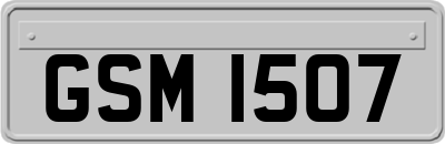 GSM1507