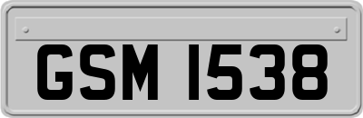 GSM1538