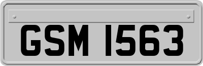 GSM1563