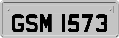GSM1573