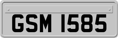 GSM1585
