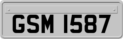 GSM1587