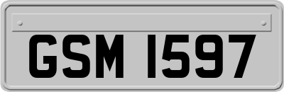 GSM1597