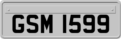 GSM1599