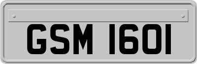 GSM1601