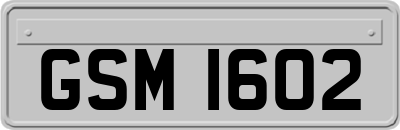 GSM1602