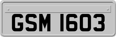 GSM1603