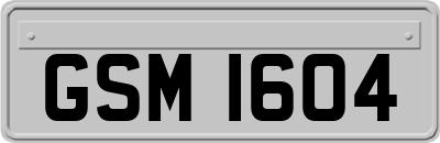 GSM1604