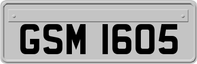 GSM1605