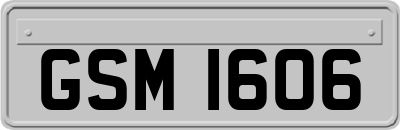 GSM1606