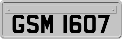 GSM1607