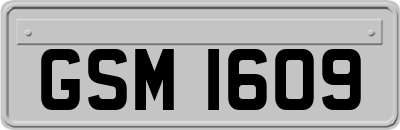GSM1609
