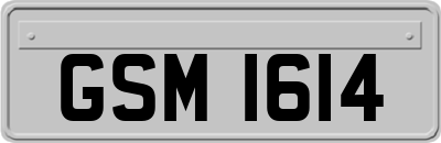 GSM1614