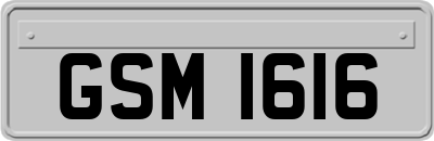 GSM1616