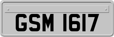 GSM1617
