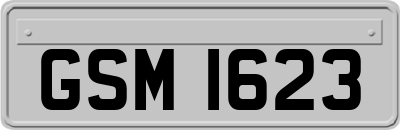 GSM1623