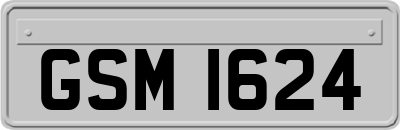 GSM1624