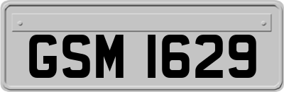 GSM1629