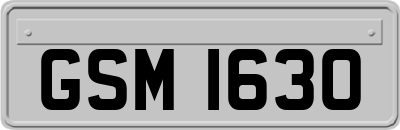 GSM1630