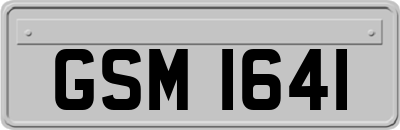 GSM1641
