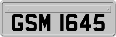 GSM1645