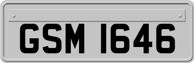 GSM1646