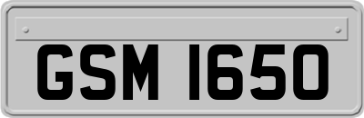 GSM1650