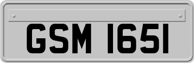 GSM1651