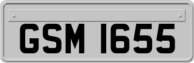 GSM1655