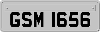 GSM1656