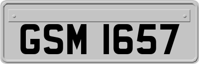 GSM1657